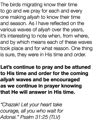 The birds migrating know their time to go and we pray for each and every one making aliyah to know their time and sea...