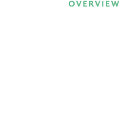 Overview Join a one week Support Tour combining hands on volunteering in Southern Israel, relevant topical and biblic...