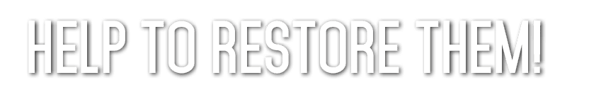 HELP TO RESTORE THEM  