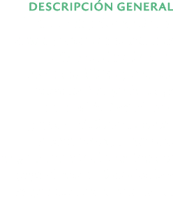 DESCRIPCI N GENERAL nete a un viaje de apoyo de una semana que combina voluntariado pr ctico en el sur de Israel, en...