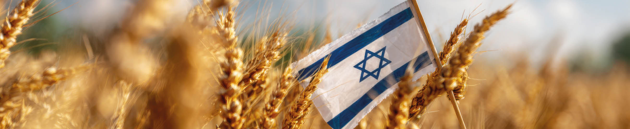 A small flag with a blue Star of David is placed among golden wheat stalks in a field under a partly cloudy sky. Description generated by AI