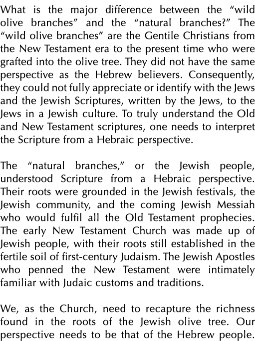 What is the major difference between the “wild olive branches” and the “natural branches?” The “wild olive branches” ...