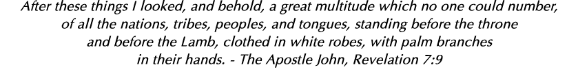 After these things I looked, and behold, a great multitude which no one could number, of all the nations, tribes, peo   