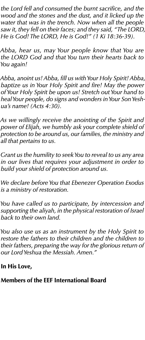 the Lord fell and consumed the burnt sacrifice, and the wood and the stones and the dust, and it licked up the water    