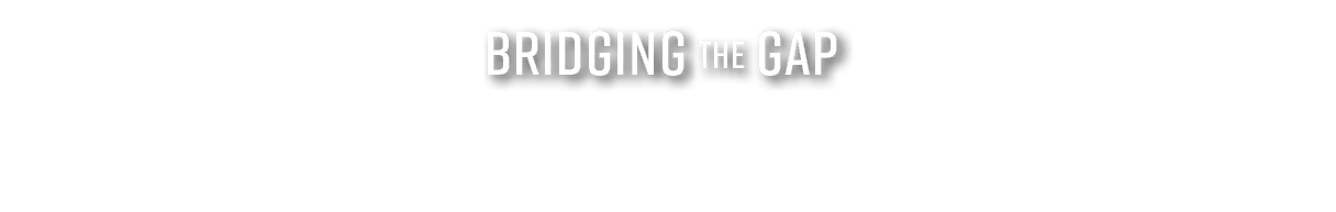 Bridging the Gap 