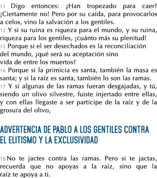 11 Digo entonces:  Han tropezado para caer   Ciertamente no  Pero por su caída, para provocarlos a celos, vino la sal   
