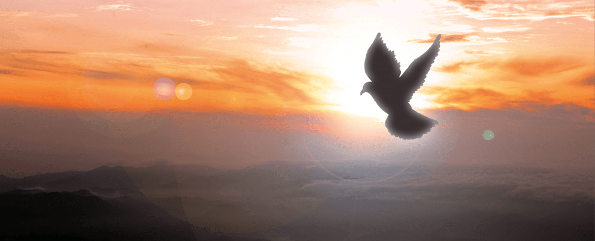 Doves fly in the sky. Christians have faith in Holy Spirit. silhouette worship to god with love Faith, Spirit and jesus christ. Christian praying for peace. Concept of worship in Christianity.