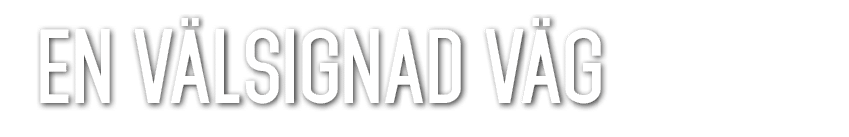En v lsignad v g 